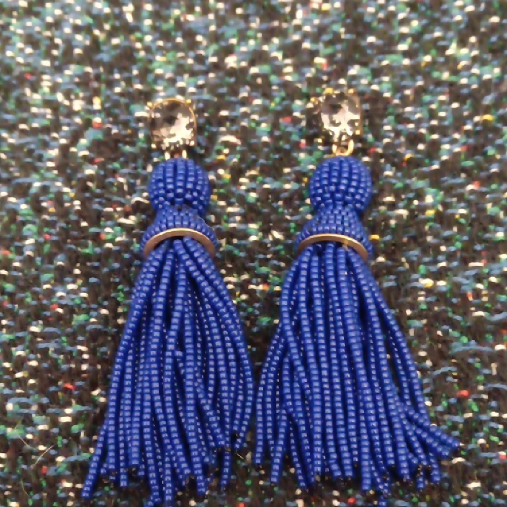 Blue Beaded Tassel Earrings
